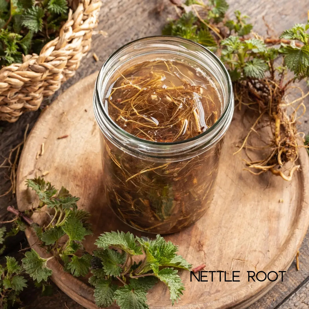 Women’s Health Multivitamins DC-My Balance Nutrisentials